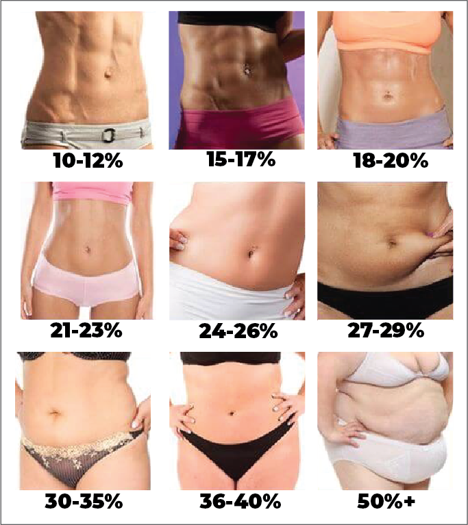 Female Body Fat Percentages