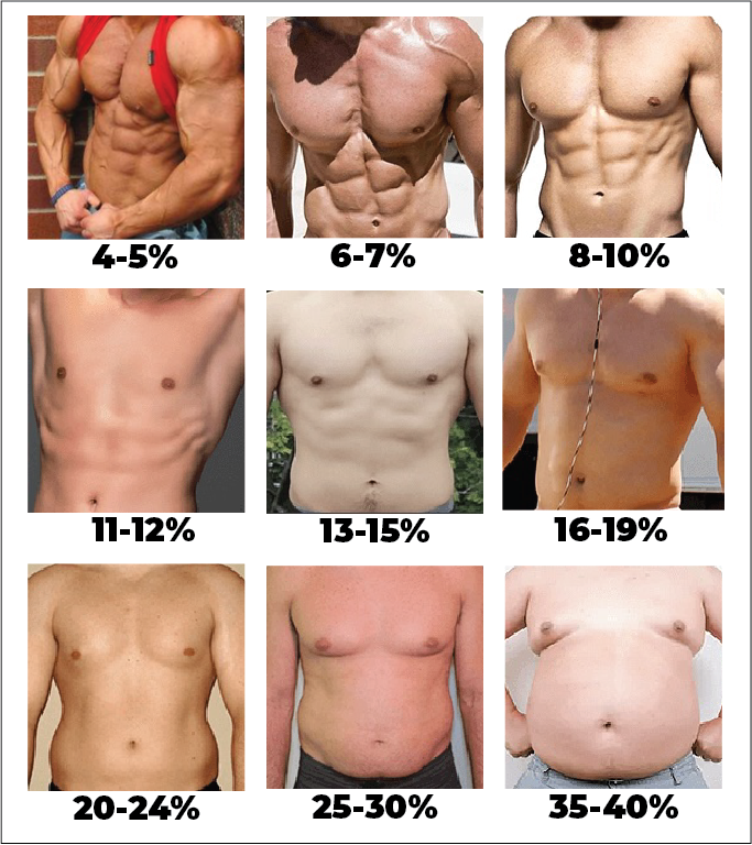 Male Body Fat Percentages
