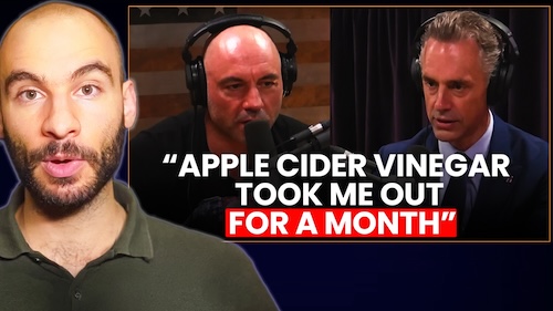 The Consequences of a Zero-Fiber Diet on Gut Health